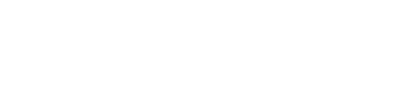 brandili logo